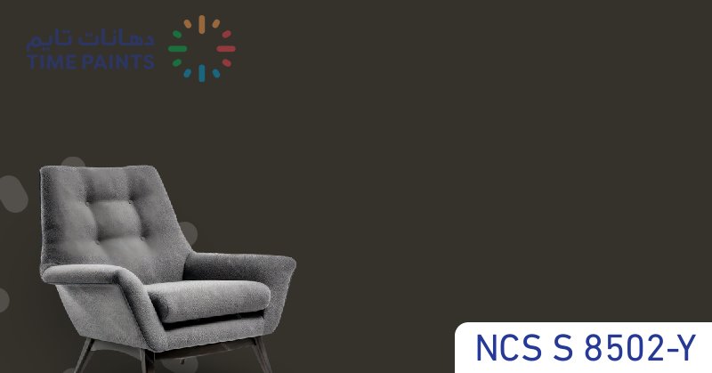 NCS S 8502-Y