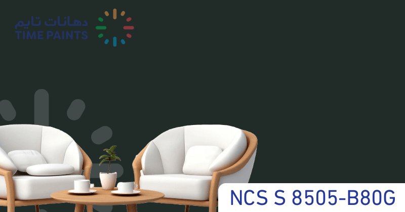 NCS S 8505-B80G