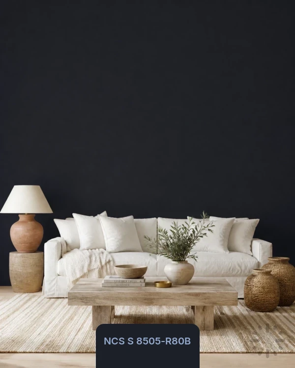 NCS S 8505-R80B color from Time Paints