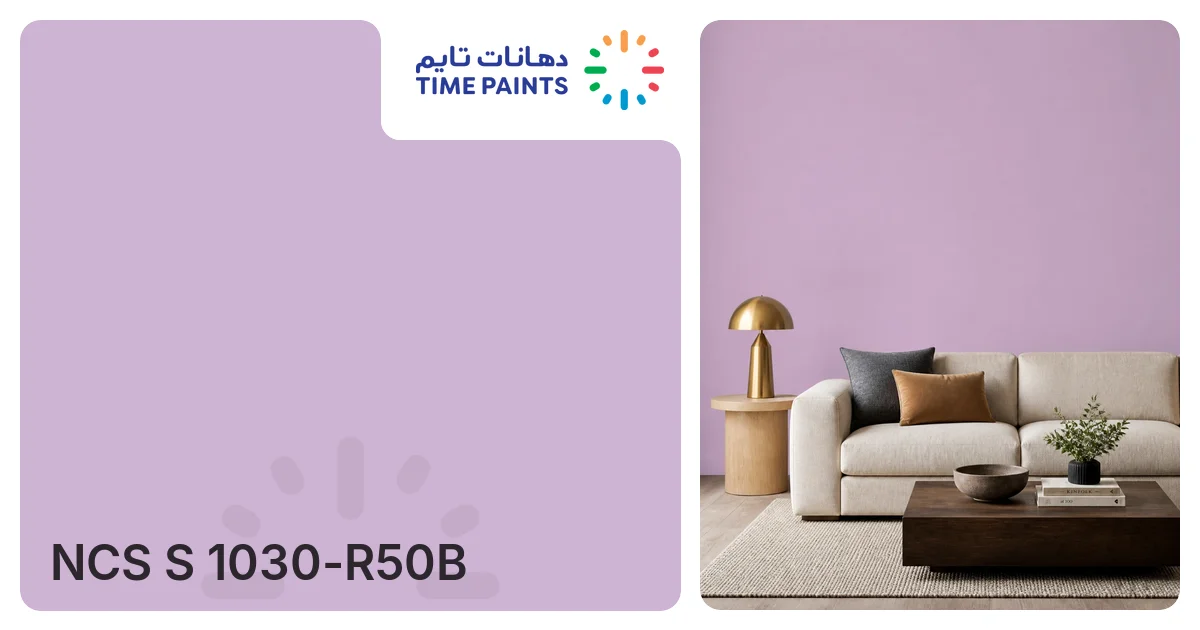 NCS S 1030-R50B | Colors | Time Paints