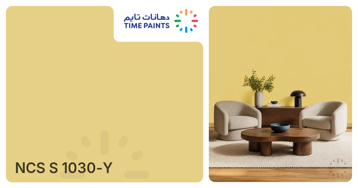 NCS S 1030-Y | Colors | Time Paints