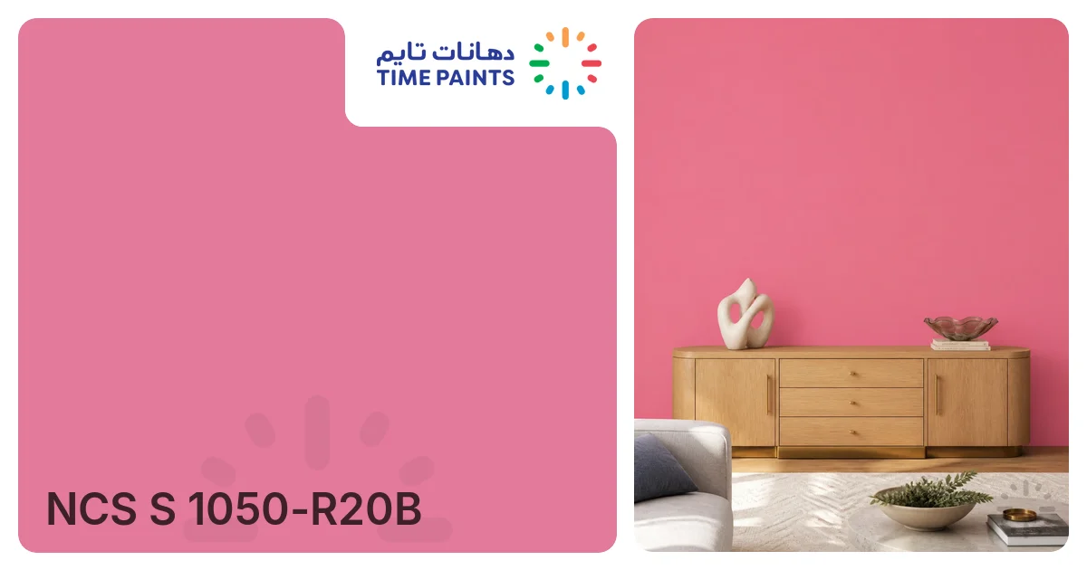 NCS S 1050-R20B | Colors | Time Paints