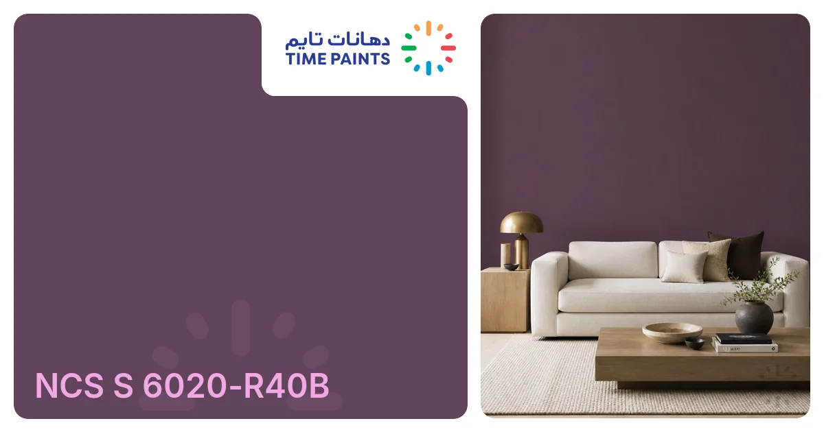 NCS S 6020-R40B | Colors | Time Paints